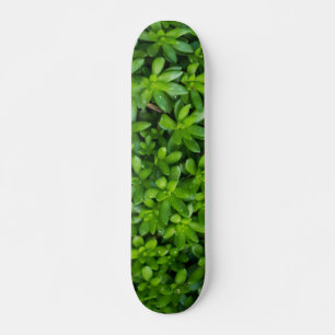 Moss Abstract Skateboard