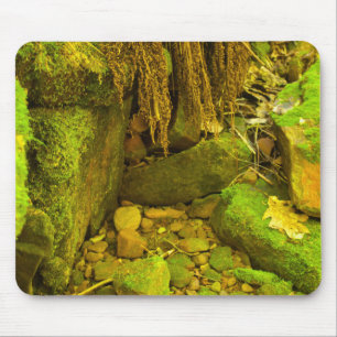Moss and Stone – Hungarian Falls, Upper Peninsula Mouse Pad