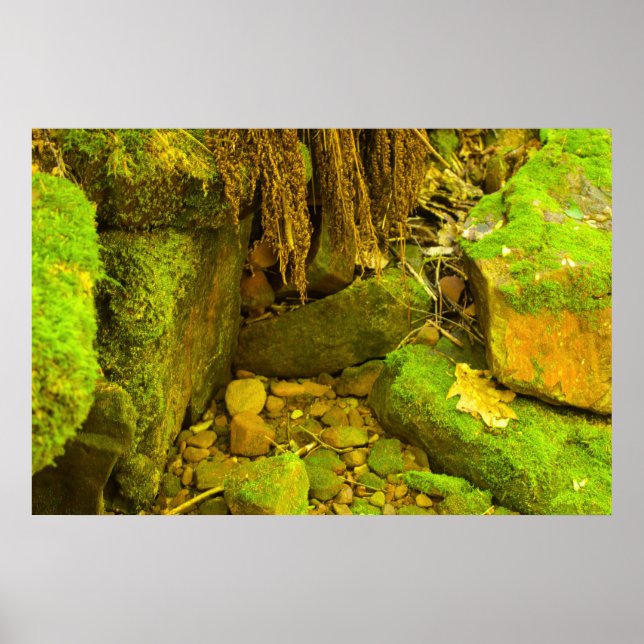 Moss and Stone – Hungarian Falls, Upper Peninsula Poster (Front)