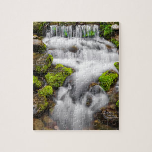 Moss Around Fern Spring Jigsaw Puzzle