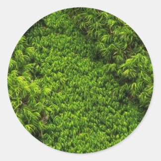 Moss Classic Round Sticker