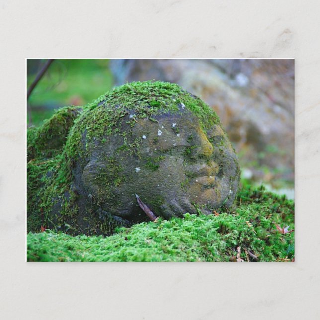 Moss covered Japanese Temple Statue Postcard (Front)