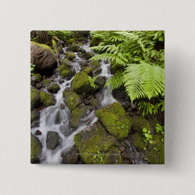 Moss covered rocks with blurred water and ferns 15 cm square badge (Front)