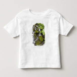 Moss covered rocks with blurred water and ferns toddler T-Shirt