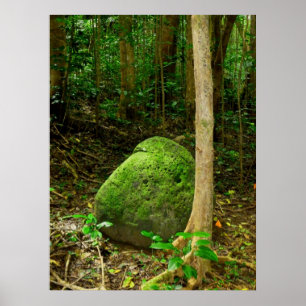 Moss-covered Stone Poster