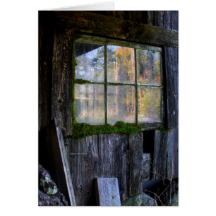 moss framed panes