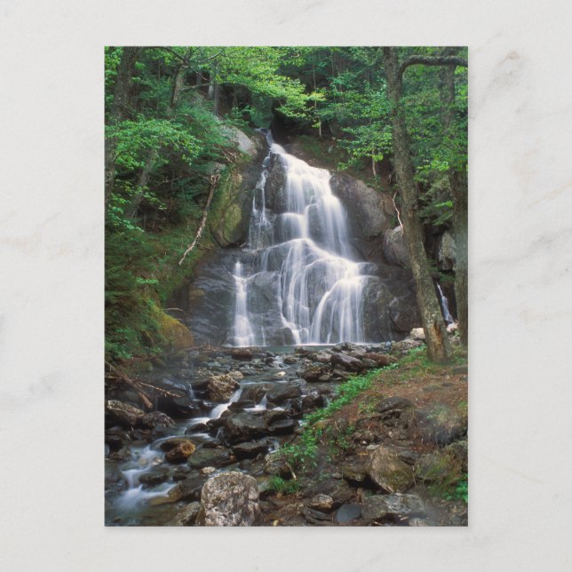 Moss Glen Falls Green Mountains Vermont Postcard (Front)