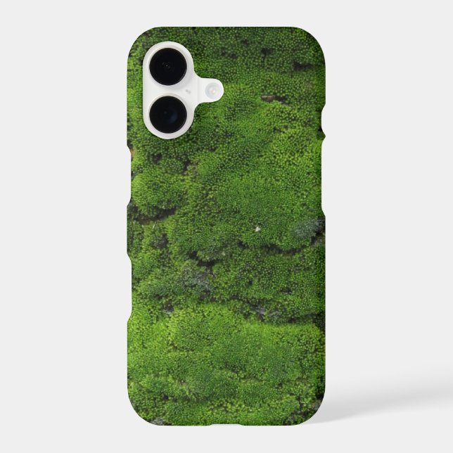 Moss Green (Back)