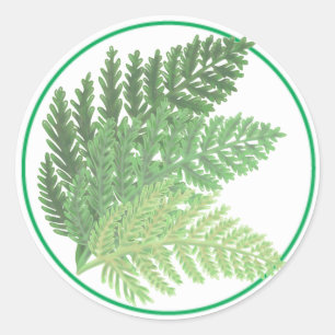 Moss Green Fern Classic Round Sticker