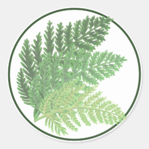 Moss Green Fern Classic Round Sticker