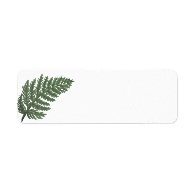 Moss Green Fern, forest floral fauna (Front)