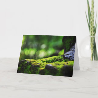 Moss growing on rocks Greeting Cards
