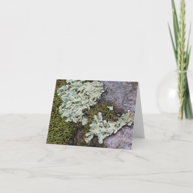 Moss & Lichen Notecard (Front)