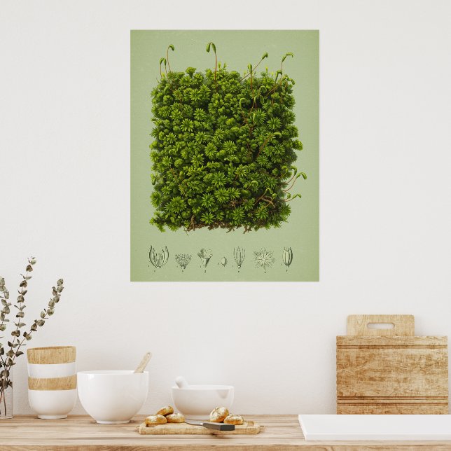 Moss motif poster (Kitchen)