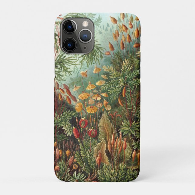 Moss (Muscinae) by Haeckel Case-Mate iPhone Case (Back)