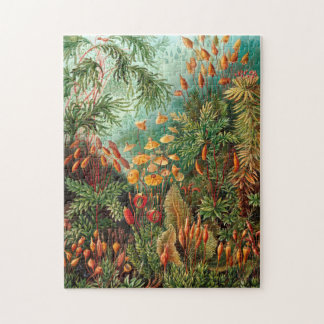 Moss (Muscinae) by Haeckel Jigsaw Puzzle
