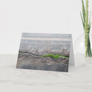 "Moss" Note Card