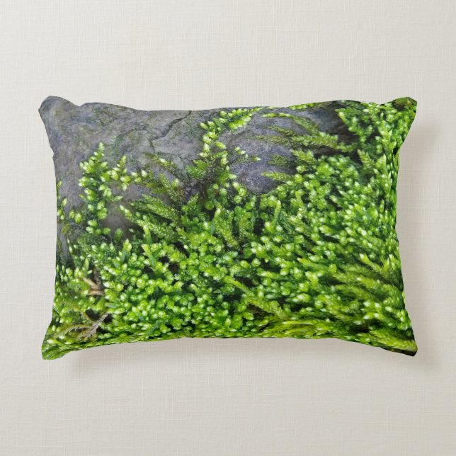 Moss on stone (Entodon seductrix) Decorative Cushion (Front)