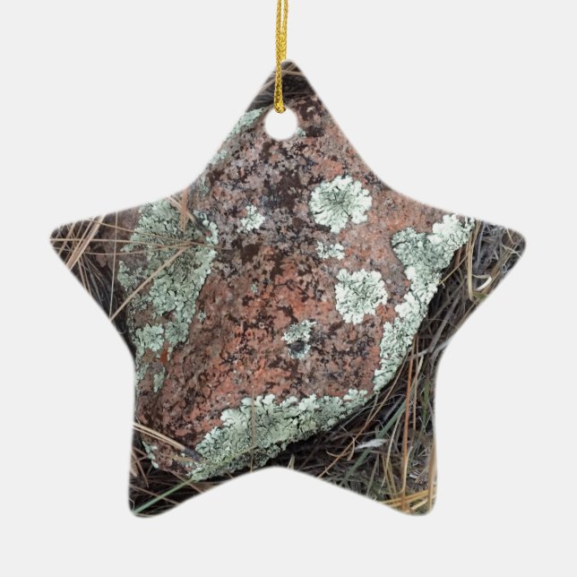 Moss rock lichen ceramic tree decoration (Front)