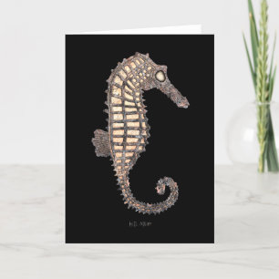 Moss Rock Sea Horse Talking Canyons, New Mexico Ca Card