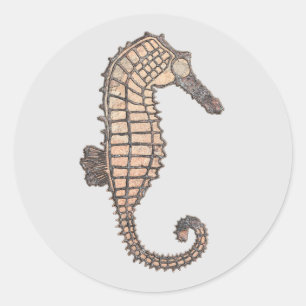 Moss Rock Sea Horse Talking Canyons, New Mexico Classic Round Sticker