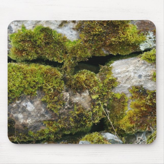 Moss stone wall  Mousepad (Front)