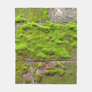 Moss wall green rock texture fleece blanket