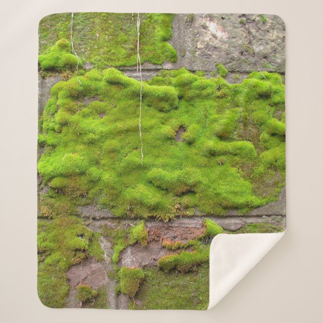 Moss wall green rock texture sherpa blanket (Front)