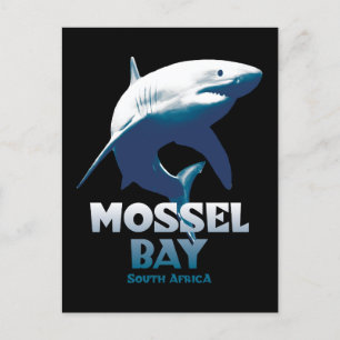 Mossel Bay Great White Shark Scuba Diving Postcard