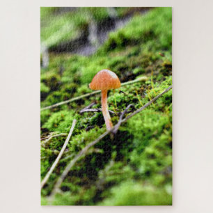 Mosses and Lichens with tiny Mushroom Jigsaw Puzzle