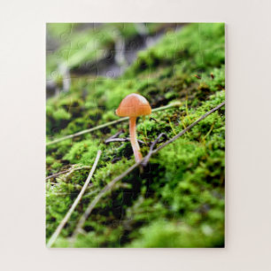 Mosses and Lichens with tiny Mushroom Jigsaw Puzzle