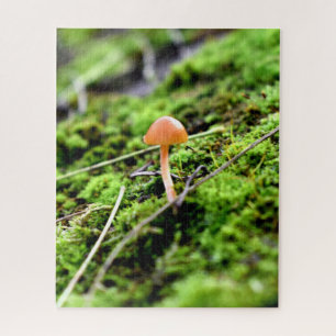 Mosses and Lichens with tiny Mushroom Jigsaw Puzzle