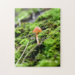 Mosses and Lichens with tiny Mushroom Jigsaw Puzzle