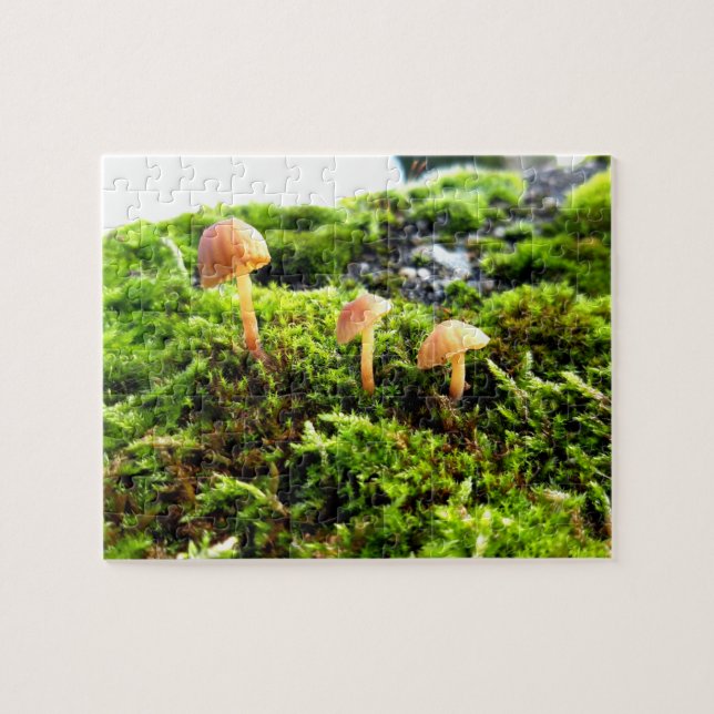 Mosses and Lichens with tiny Mushroom Jigsaw Puzzle (Horizontal)