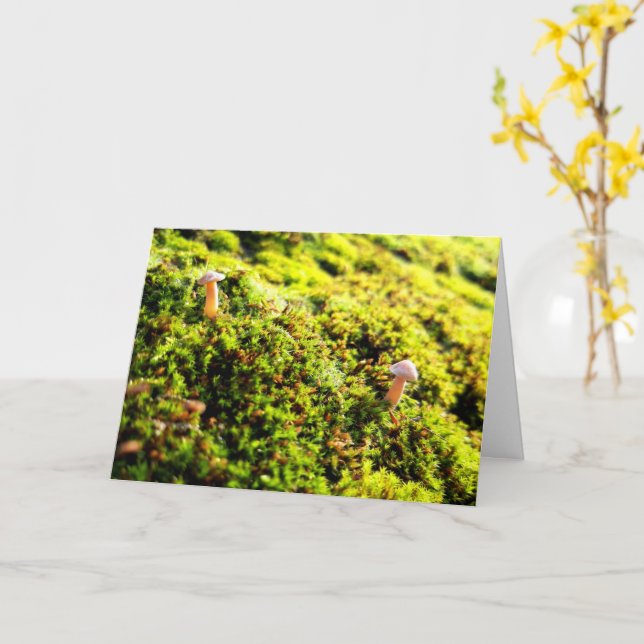Mosses and Lichens with tiny Mushrooms Card (Yellow Flower)