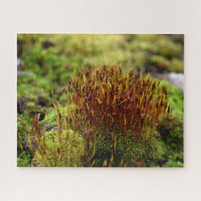 Mosses Jigsaw Puzzle (Horizontal)