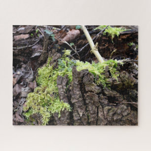 Mosses Jigsaw Puzzle