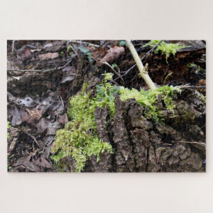 Mosses Jigsaw Puzzle