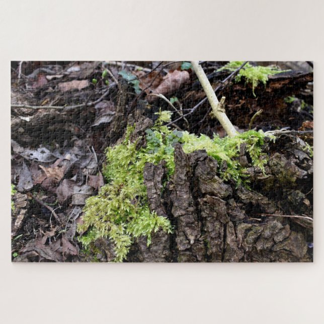 Mosses Jigsaw Puzzle (Horizontal)