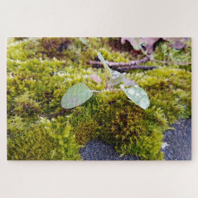 Mosses Jigsaw Puzzle (Horizontal)