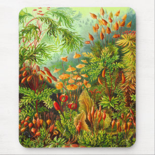 Mosses Mouse Pad
