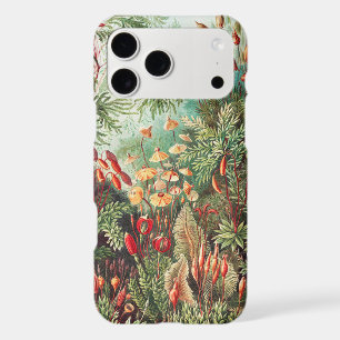 Mosses, Muscinae Laubmoose by Ernst Haeckel