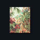 Mosses, Muscinae Laubmoose by Ernst Haeckel Canvas Print<br><div class="desc">Mosses,  Muscinae Laubmoose by Ernst Haeckel Canvas Print</div>