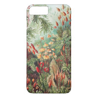 Mosses, Muscinae Laubmoose by Ernst Haeckel