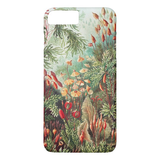 Mosses, Muscinae Laubmoose by Ernst Haeckel Case-Mate iPhone Case (Back)