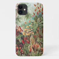 Mosses, Muscinae Laubmoose by Ernst Haeckel