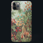 Mosses, Muscinae Laubmoose by Ernst Haeckel Case-Mate iPhone Case<br><div class="desc">Muscinae Laubmoose by Ernst Haeckel Vintage Plants Phone Case</div>