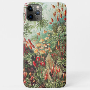 Mosses, Muscinae Laubmoose by Ernst Haeckel Case-Mate iPhone Case