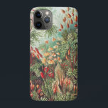 Mosses, Muscinae Laubmoose by Ernst Haeckel Case-Mate iPhone Case<br><div class="desc">Muscinae Laubmoose by Ernst Haeckel Vintage Plants Phone Case</div>