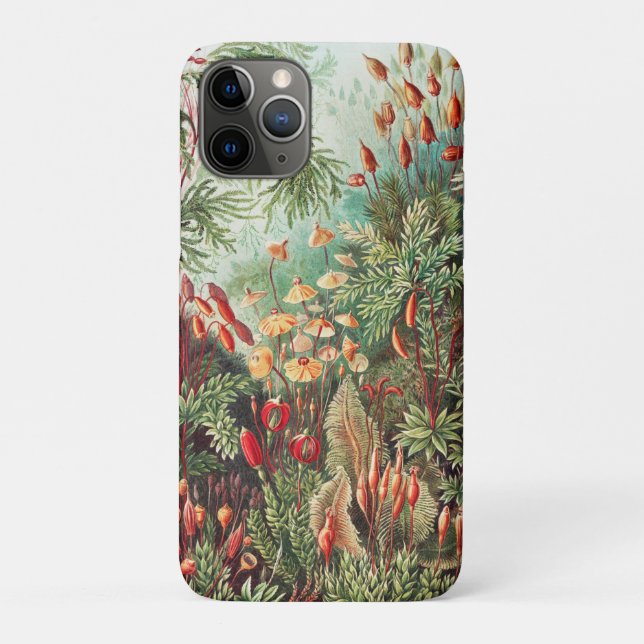 Mosses, Muscinae Laubmoose by Ernst Haeckel Case-Mate iPhone Case (Back)